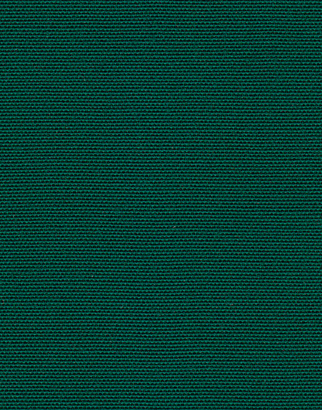 T04-Forest-Green-09-@2x
