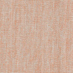 T04-Hazelnut-02-@2x