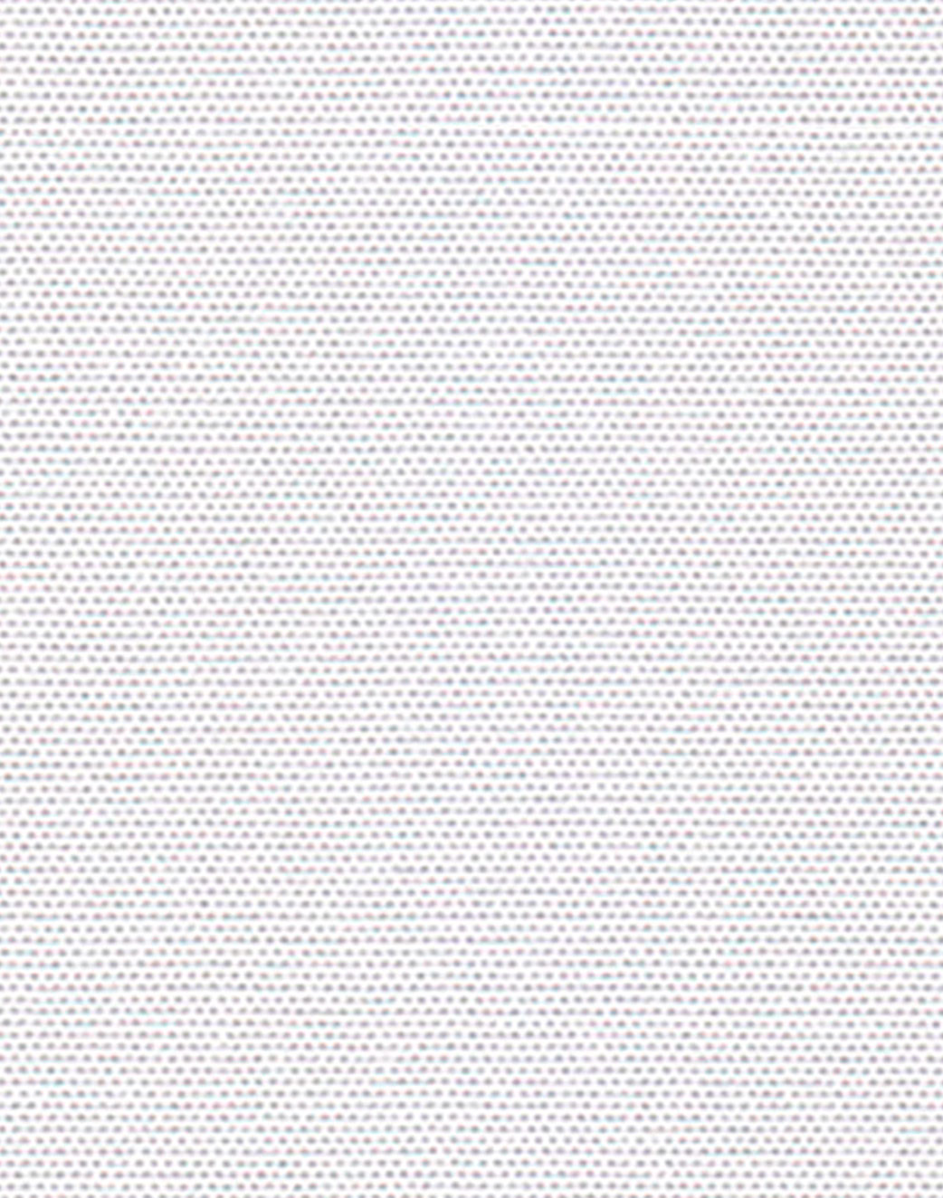 T04-Snow-White-01-@2x